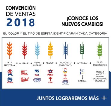 Convención de ventas y logística 2018 — Grupo Kasto Molinos