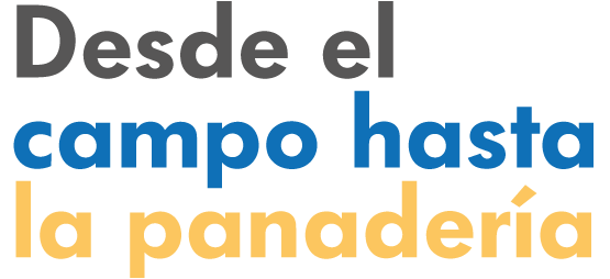 Nuestros Molinos — Grupo Kasto Molinos